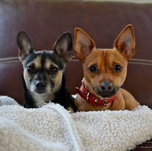 Meet your Posher, Karen